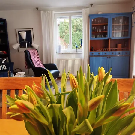 Birkenstrasse 06i 4 Apartment